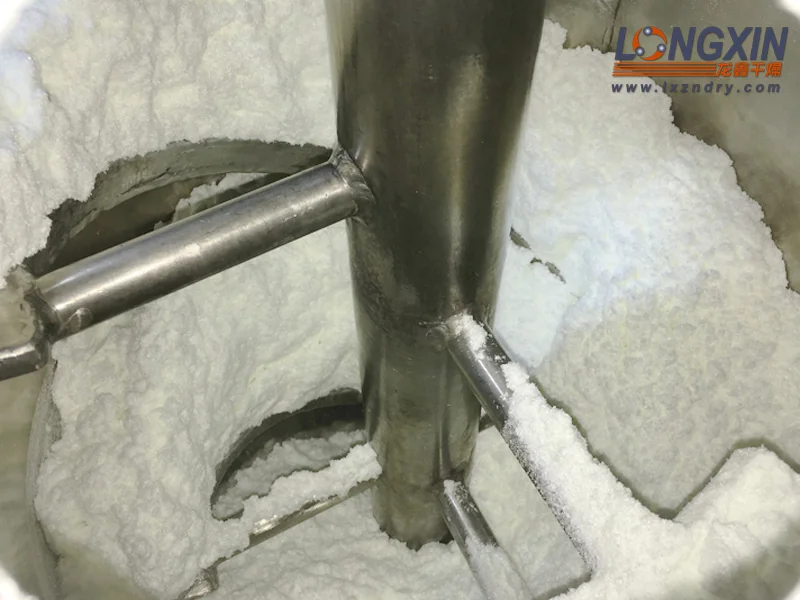 Agitator mixing white powder inside a DLG conical vacuum dryer