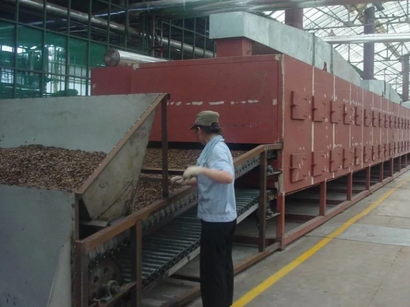 Longxin DWD belt dryer with red drying chambers and a feed conveyor